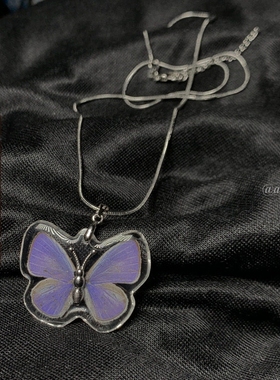 小众蝴蝶标本趣味土酷蹦迪项链