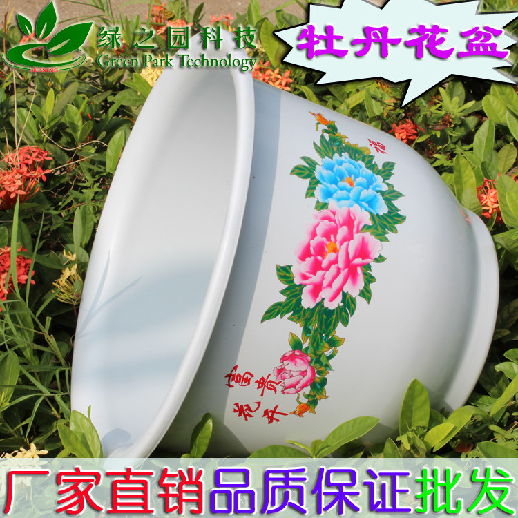 花卉绿植发财树白色牡丹塑料花盆图片