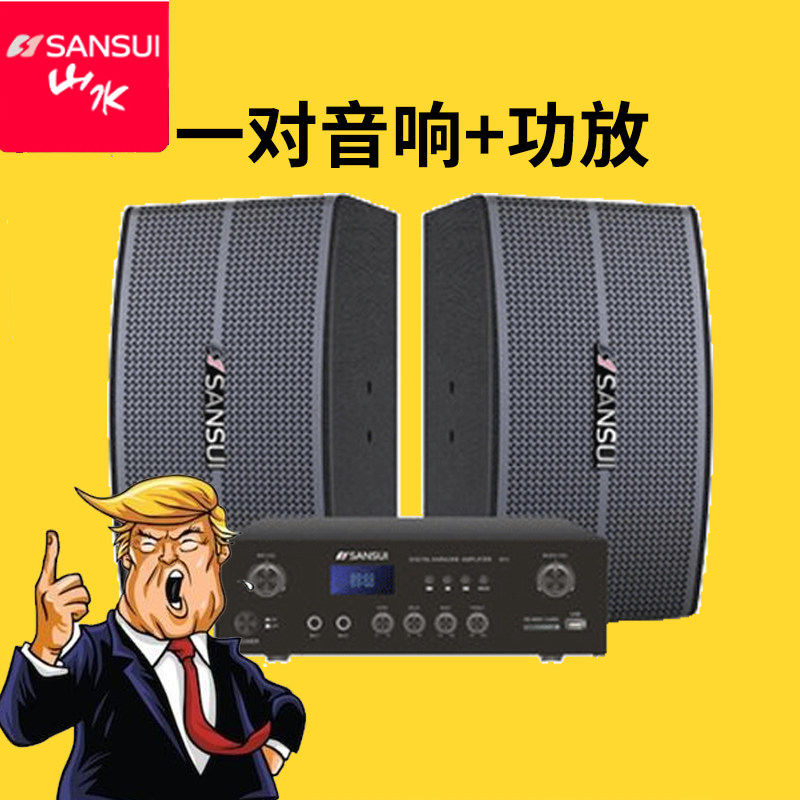山水KB3-06家庭KTV音响大功率音箱卡包重低音室内家用K歌会议影院