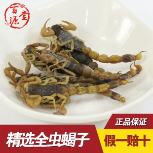 中药材蝎子干清水无盐全干全虫全蝎50g另有蜈蚣地龙水蛭包邮泡酒