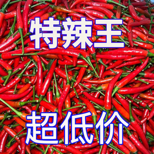 小米椒鲜椒朝天椒红辣椒指天椒泡椒红辣椒剁椒指尖椒农家自种