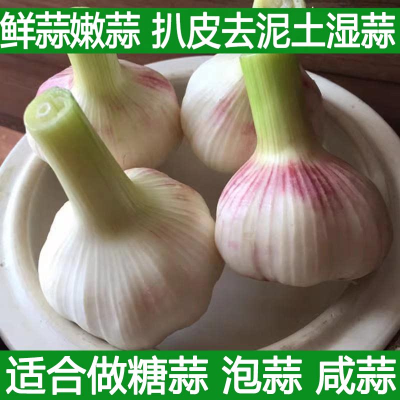 苍山紫白皮鲜蒜新鲜湿蒜嫩蒜腌制