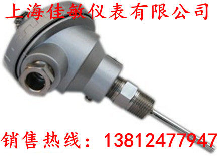 管道专用PT100/PT1000热电阻温度探头 温度传感器WZP-231佳敏