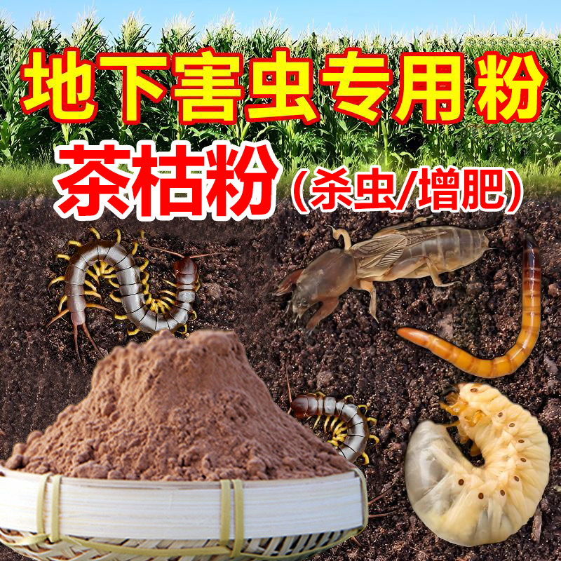 茶枯粉杀虫蔬果植物盆栽土里茶麸杀蜗牛室内养花农用肥茶籽粉种菜