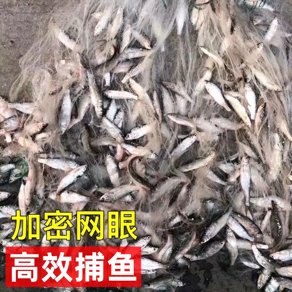 白条网餐条1指1.5指一指半7分9分单层三层沉网浮网捕鱼网粘网渔网
