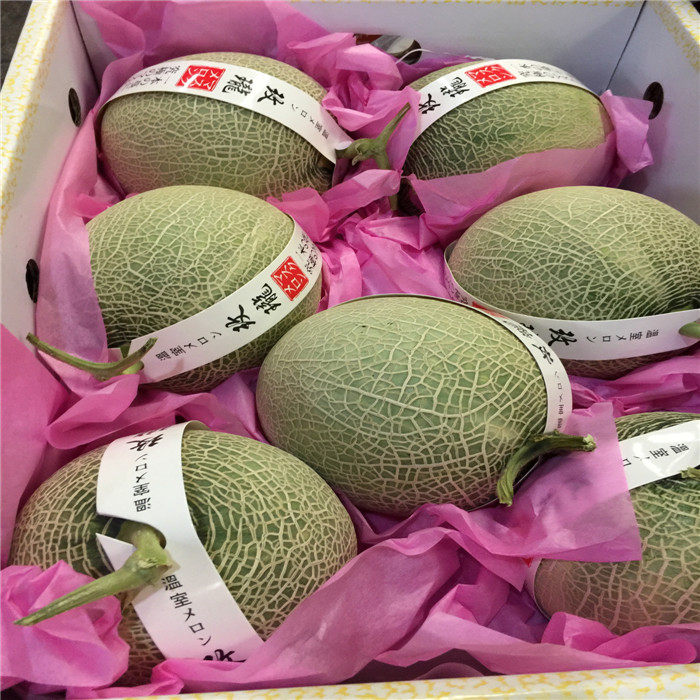 日本原种引进梅陇瓜新鲜时令水果玫珑网纹瓜蜜瓜5-6颗包邮