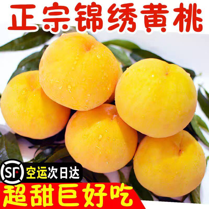 【当天现摘】嘉善姚庄锦绣红肉黄桃当季时令水果新鲜桃子脆甜多汁