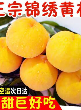 【当天采摘发货】嘉善姚庄黄桃
