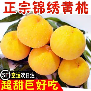 【当天现摘】嘉善姚庄锦绣红肉黄桃当季时令水果新鲜桃子脆甜多汁