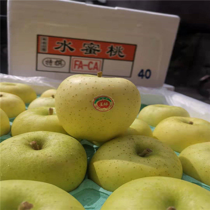日本青森王林苹果顺丰包邮