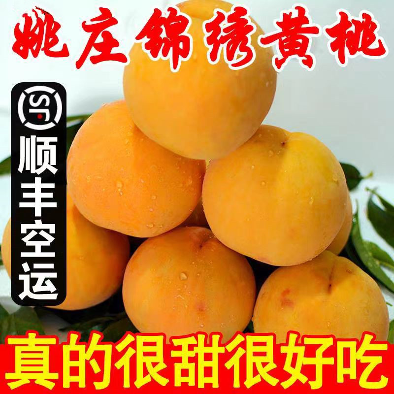 正宗嘉善姚庄锦绣黄桃新鲜时令水果桃子整箱礼盒装顺丰包邮