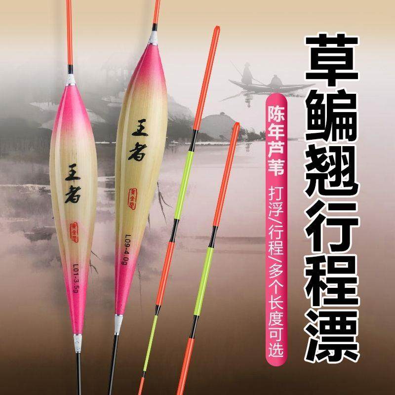 开战王者系列青鱼专用浮漂不过底珠珠芦苇行程浮漂高灵敏青草鱼漂