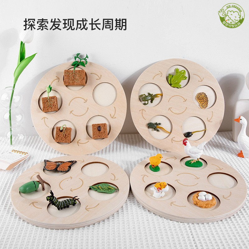 蒙氏动物生命周期板模型益智玩具
