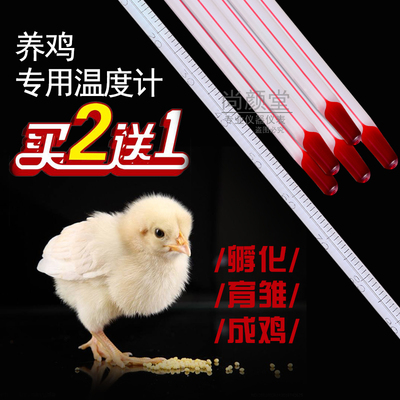 测量精准养鸡专用买二送一