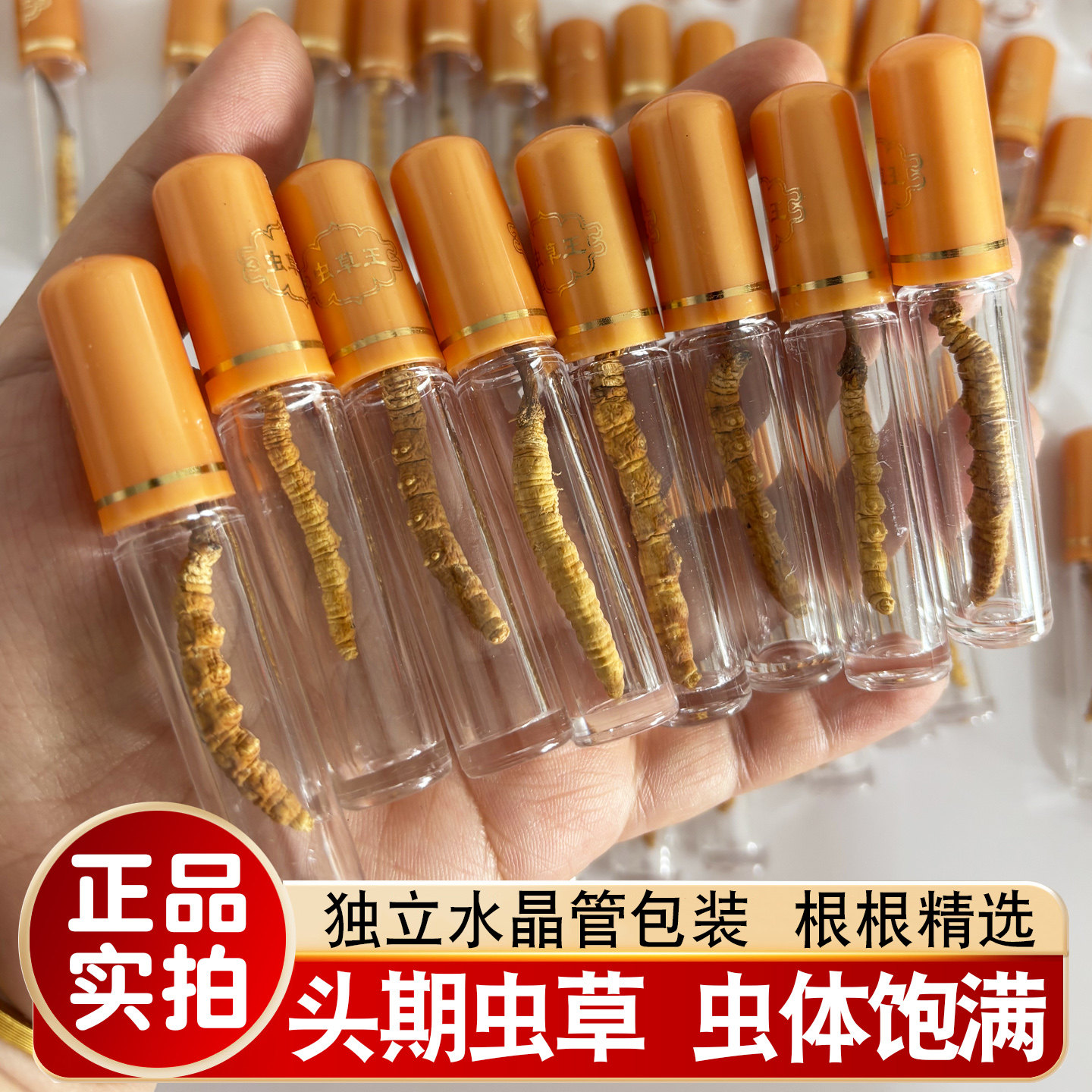 冬虫夏草高档独立装虫草头期正品泡酒茶滋补佳品高海拔非西藏那曲