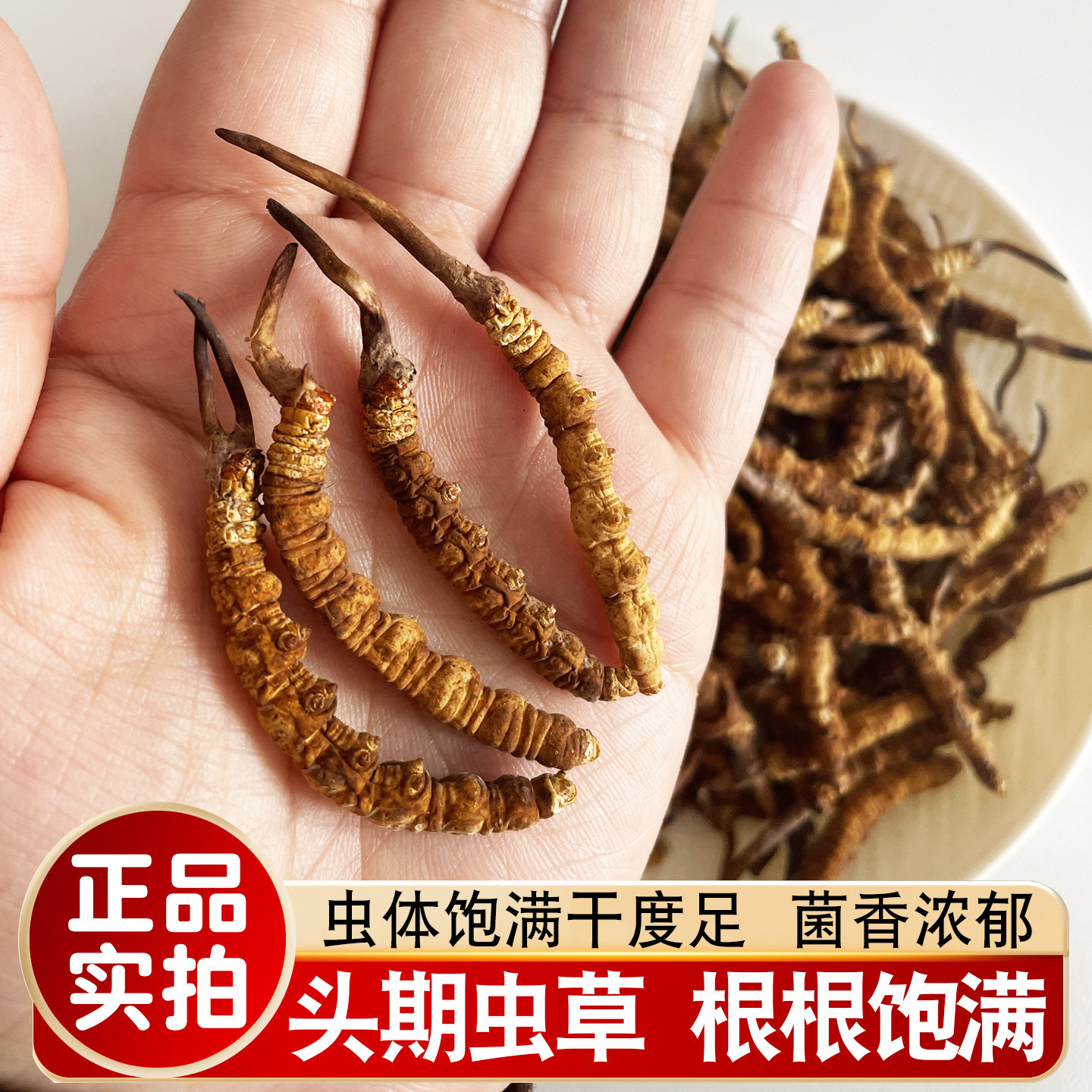冬虫夏草头期虫草饱满虫体自用实惠1克约3根正品干货煲汤泡酒养生
