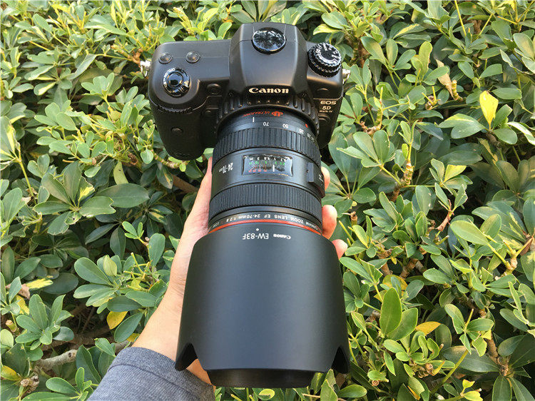 5D4  80D单反相机模型摆件别墅办公室内模特影楼电影道具桌面装饰