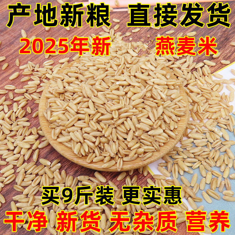 新米燕麦米2025年纯生裸燕麦仁粒莜麦全胚芽米10粗粮商用内蒙古斤