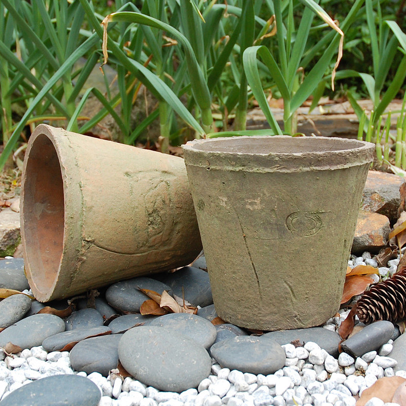 带logo多肉花盆花盆粗陶绿植物简约素烧创意透气泥瓦盆红陶土盆