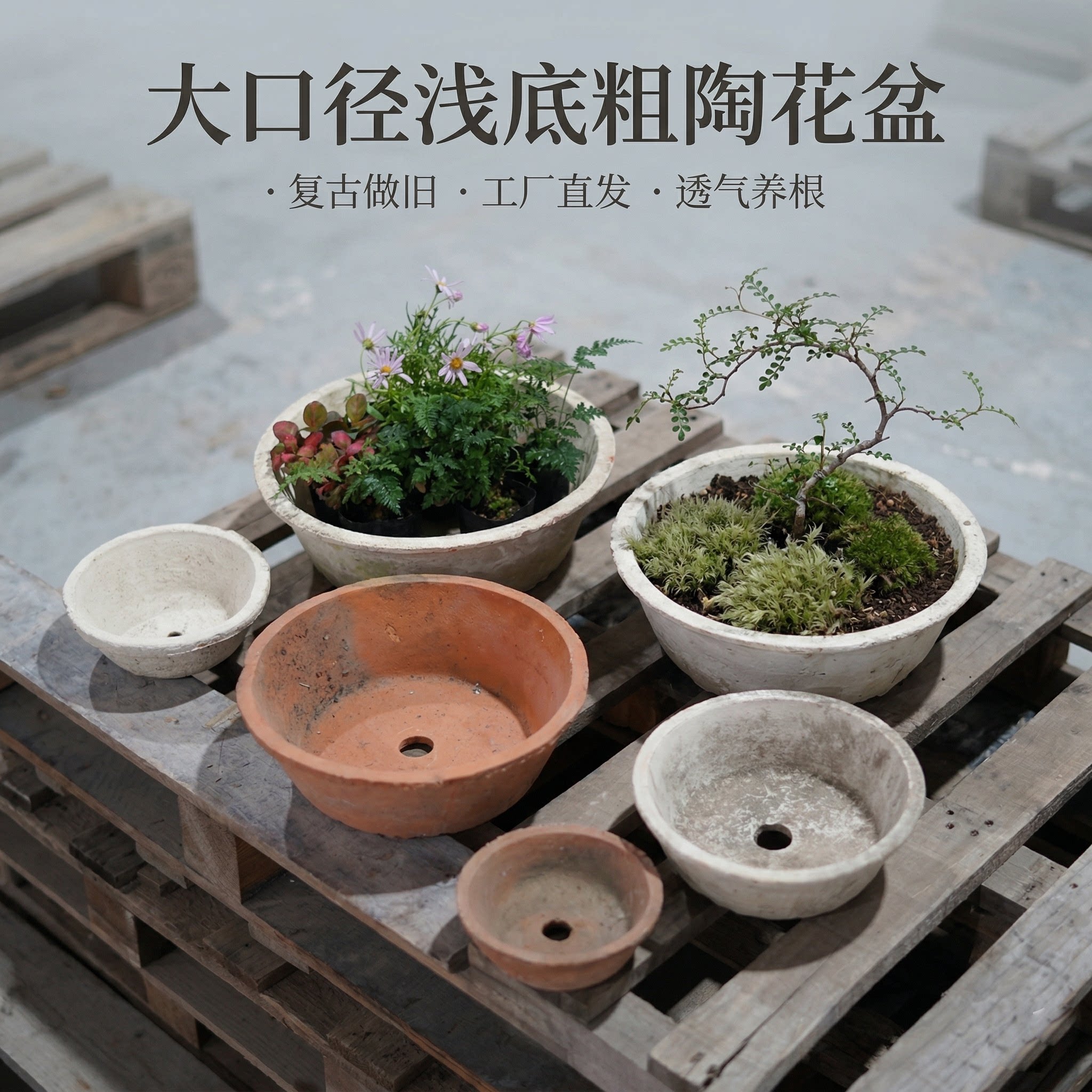 大口径矮粗陶手工陶土花盆陶瓷多肉盆瓦盆透气养根陶盆红陶浅口盆