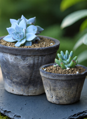 迷你小花盆多肉粗陶花园复古透气陶土育苗瓦盆仙人球专用陶盆矮红