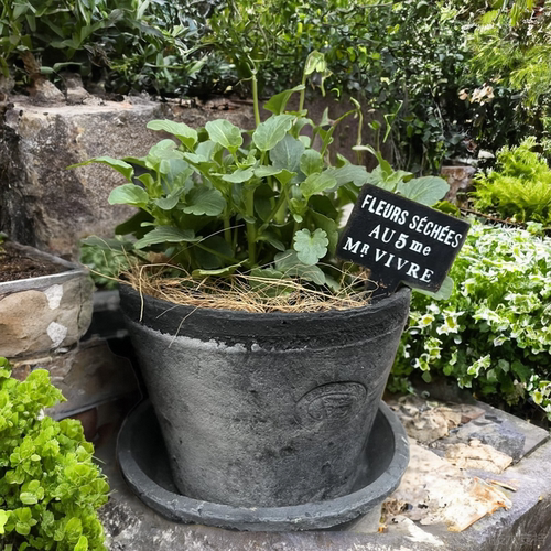 手工粗陶花盆简约吸水透气