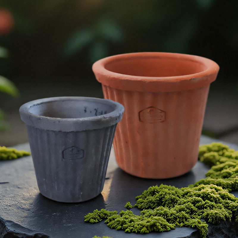 红陶花盆多肉绿植盆花器