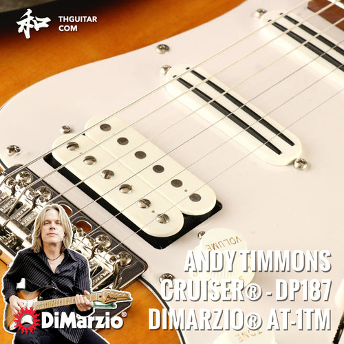 ANDYTIMMONS双线圈签名拾音器