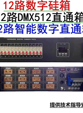 智能电箱 12路4KW数字硅箱 DMX512舞台灯光智能电柜直通箱 电源箱
