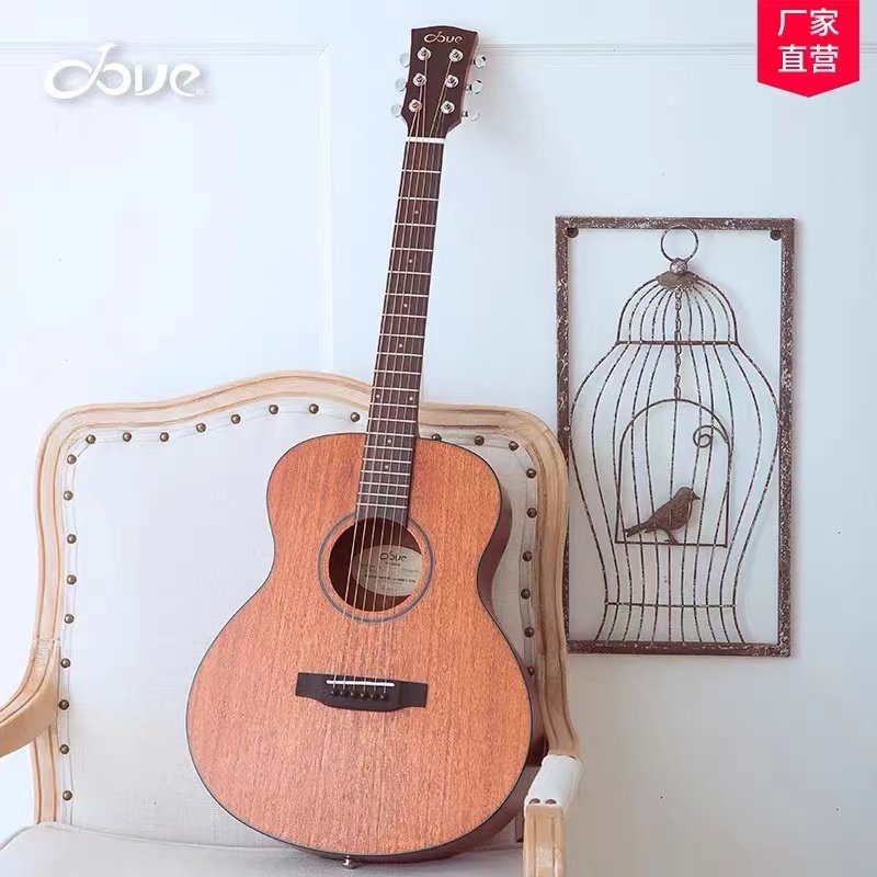 Dove鸽子吉他dtb系列面单板36/34寸民谣吉他初学者女生旅行琴儿童
