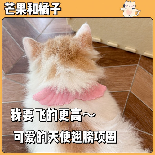 猫管家猫猫狗狗项圈可爱卡通饰品