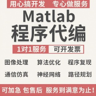 matlab代码帮做代编程彷真通信图像处理深度学习神经网络程序代编