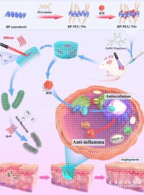 3dmax科研绘图国外SCI学术杂志封面配图美化生物医学动画插画设计