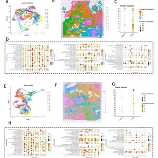 模拟计算DFT计算MS/VASP/高斯量子化学/晶体结构/能带/反应路径