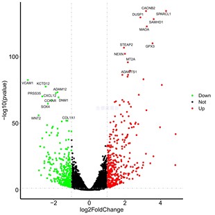 GEO TCGA数据库下载挖掘生信分析 差异基因富集分析 火山图网络图