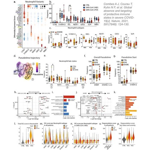 R语言绘图森林图网状meta分析漏斗图箱线热图随机森林数据可视化