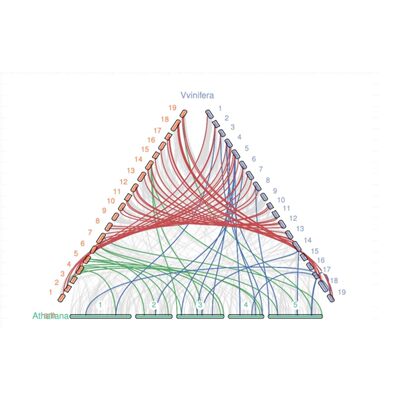 生信分析 Bioinformatics Analysis