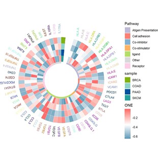 网络药理学分子对接分子动力学模拟提供数据可复刻
