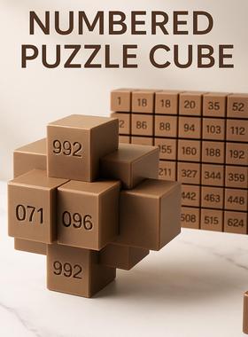 《Extensible Burr Set》积木盒子烧脑益智玩具送朋友生日礼物