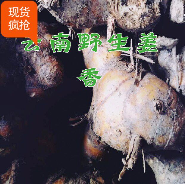 新品2024 新款悬崖野姜香山味野菜马齿苋云南新鲜货到付款500克