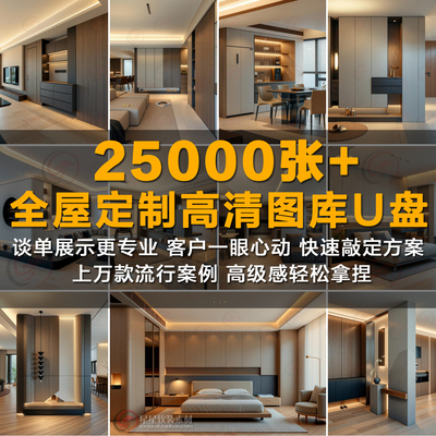 2026新款全屋定制精选图库U盘
