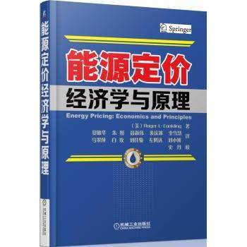 【现货】能源定价经济学与原理(美)Roger L. Conkling著9787111441496机械工业出版社经济/经济理论