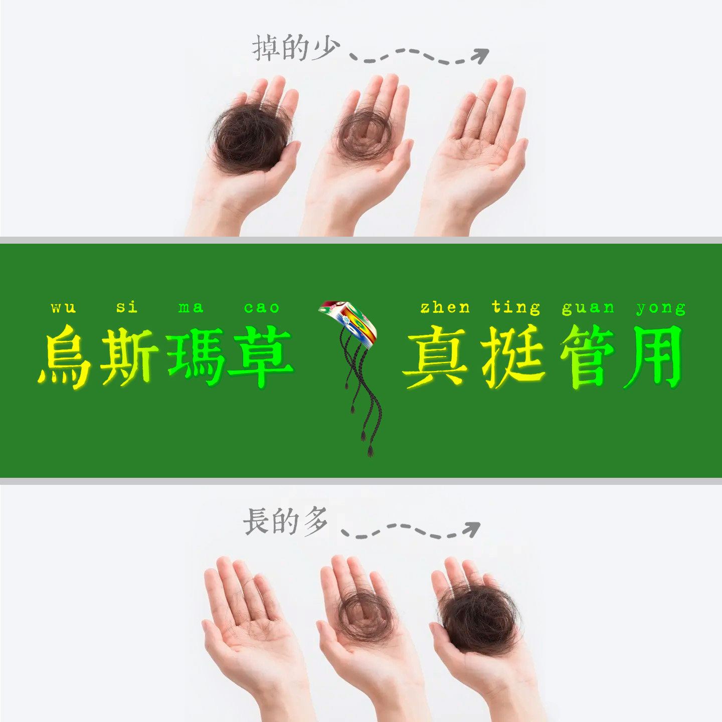 新疆乌斯玛草奥斯曼草本护发洗发水乳洗头露改善发质滋养发根