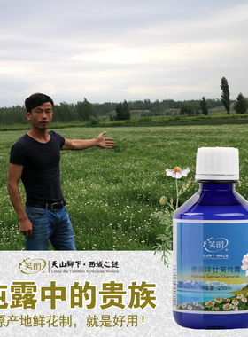 德国洋甘菊纯露精油花水修复角质层敏感脆弱肌肤爽肤水喷雾500ml