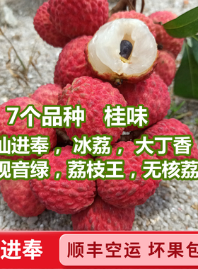 仙进奉荔枝 新鲜水果5斤无荔枝大丁桂冰观音荔枝香绿核荔王味顺丰