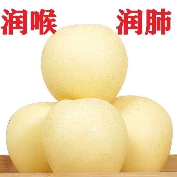 河北正宗皇冠梨新鲜梨当季水果10整箱脆甜鸭梨砀山白梨子雪梨包邮