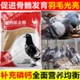 Ou Naide Phosphate Canxi Clay Powder Racing Pigeon Pigeon Pigeon Sản phẩm thuốc Pigeon Thuốc phòng ngừa Nước Pigeon trẻ Sản phẩm sức khỏe Chim - Chim & Chăm sóc chim Supplies lồng choè đất