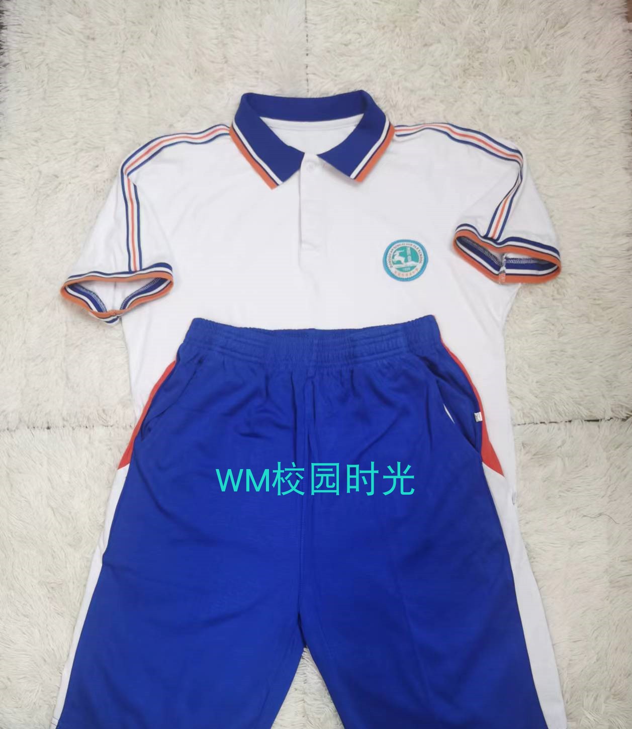 夏秋冬 清中清溪中学新款初一初二初三 东莞夏装秋装冬装学校同款