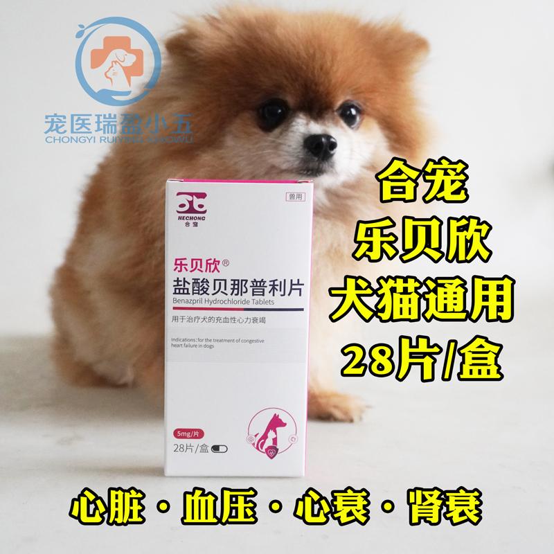宠物狗狗猫咪心脏病心脏肥大气喘