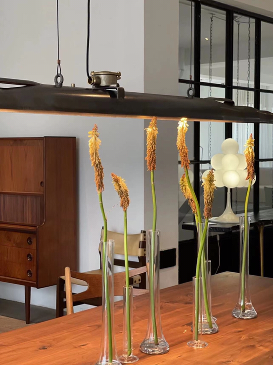 简约小清新一枝花花瓶透明玻璃客厅干花水培鲜花单只小花插